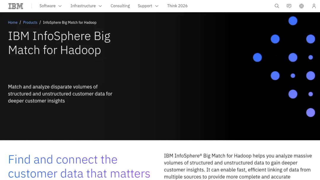 IBM Infosphere Big Match for Hadoop screenshot