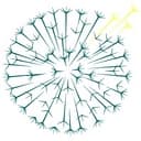 Dandelion Health