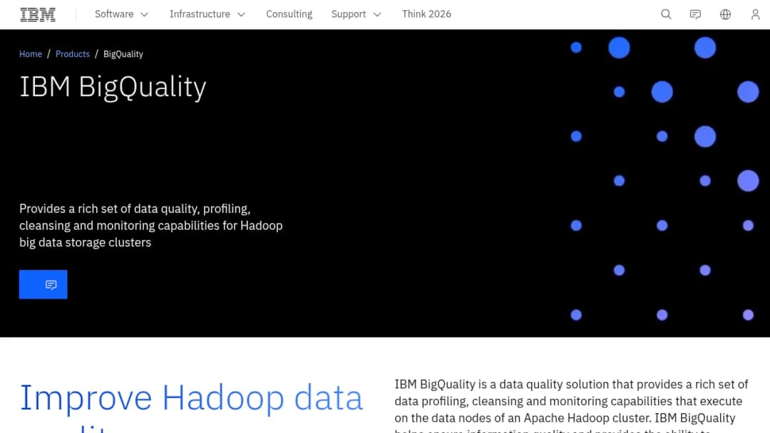 IBM Bigquality screenshot