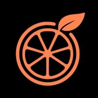 Orange Slice