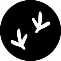 Raven Notification API