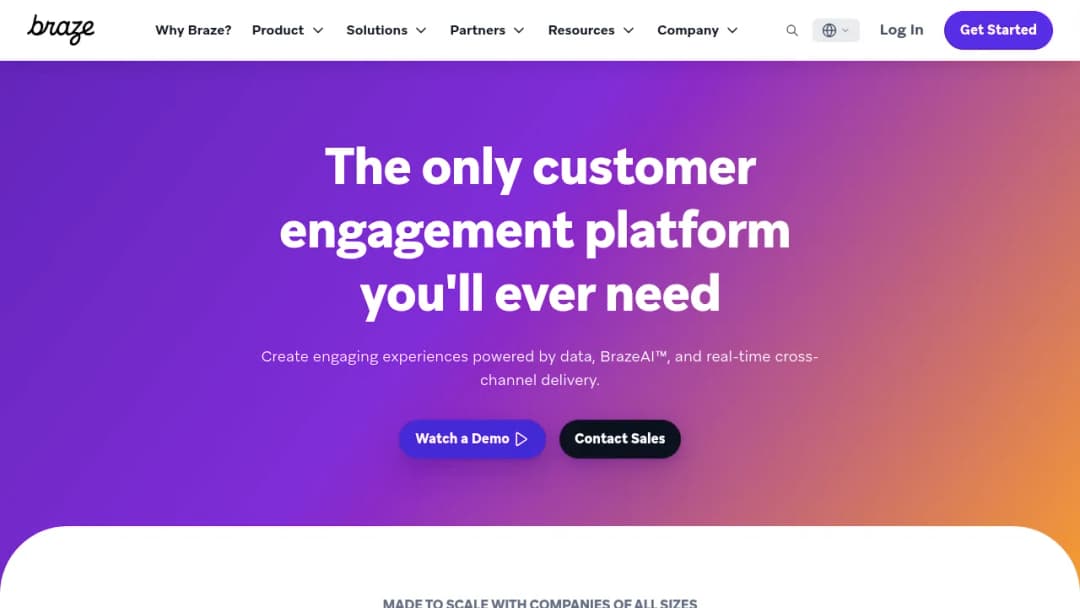 Braze Platform screenshot