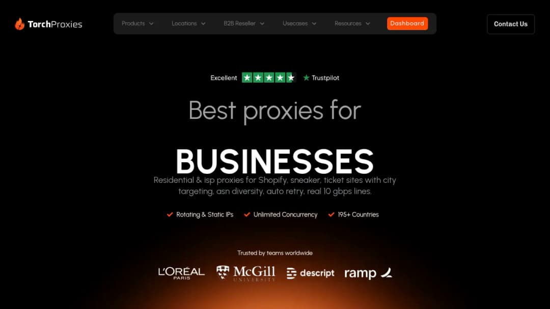 Torch Labs Software screenshot