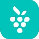 Berrycast