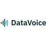 DataVoice International