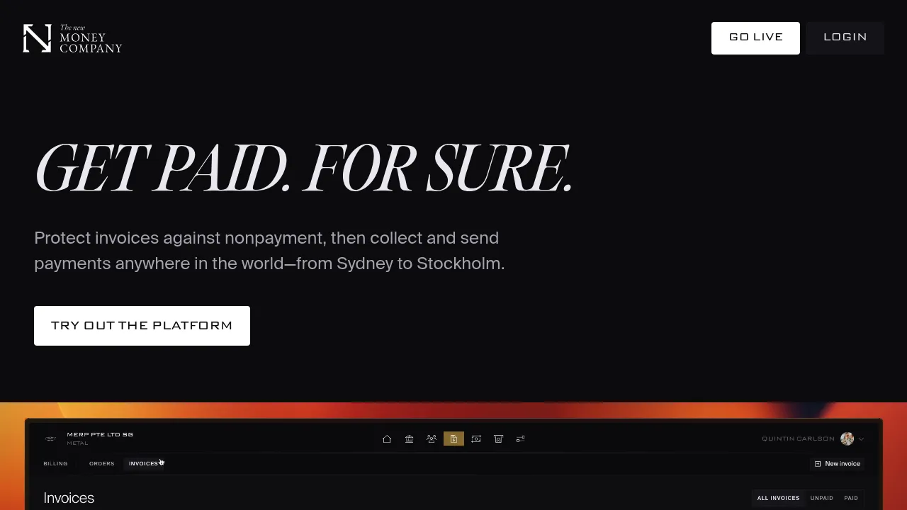 The New Money Company screenshot