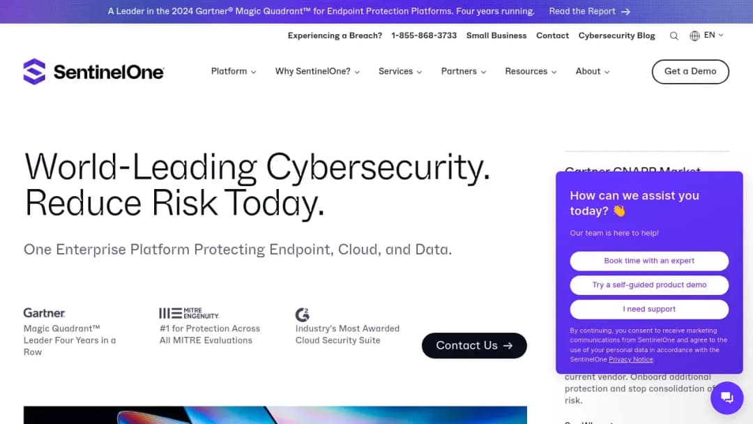 SentinelOne screenshot