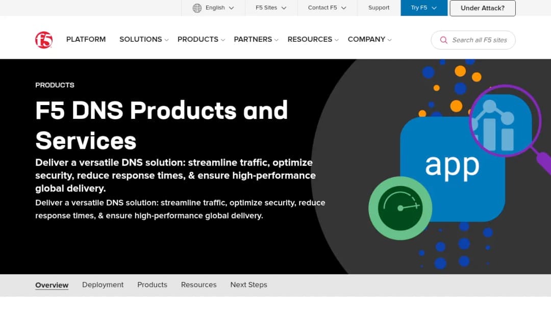 F5 DNS screenshot