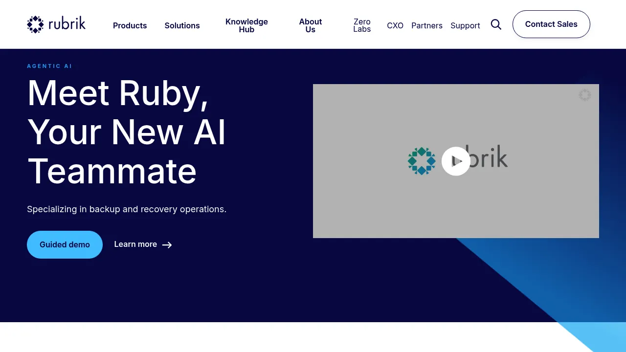 Rubrik Ruby AI Agent screenshot
