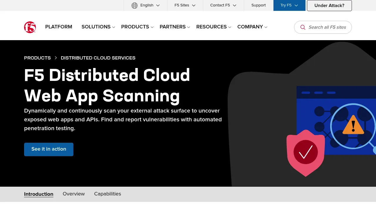 F5 Web application scanning screenshot