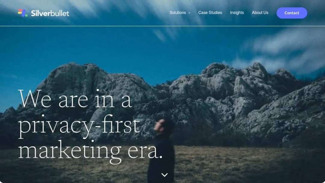 Silver Bullet Data Services Group screenshot