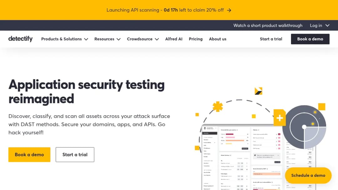 Detectify screenshot