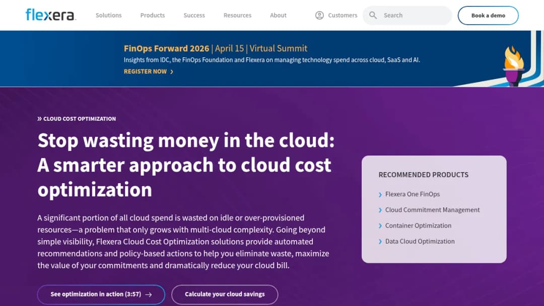 Flexera Cloud Cost Optimization screenshot