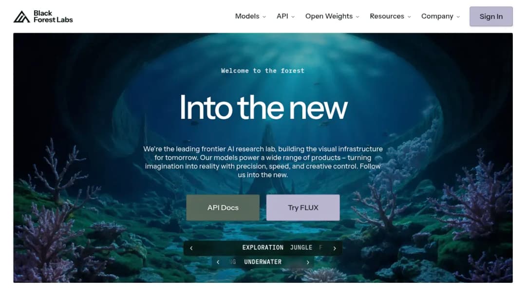 Black Forest Labs screenshot