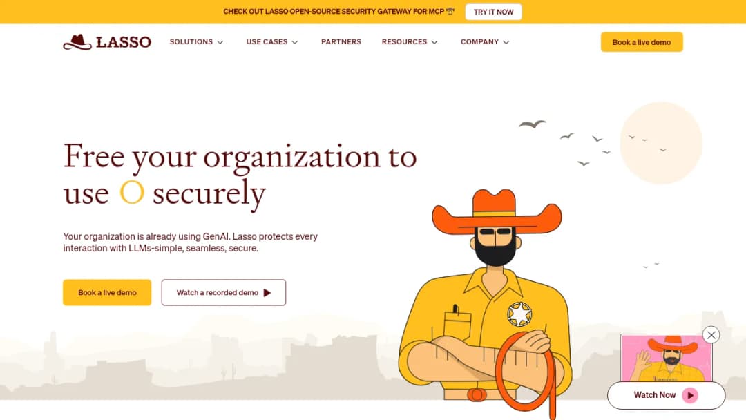 Lasso Security screenshot