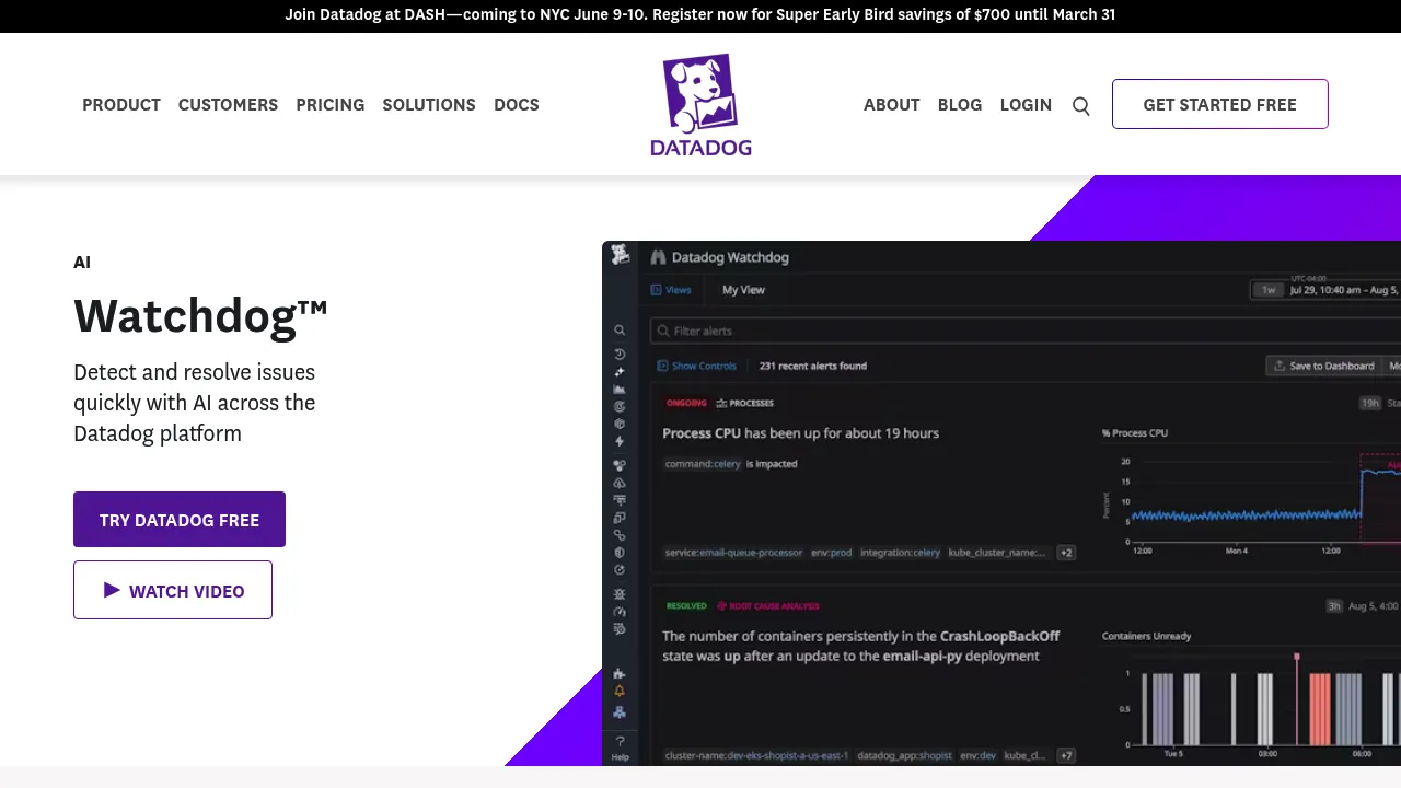 Datadog Watchdog screenshot