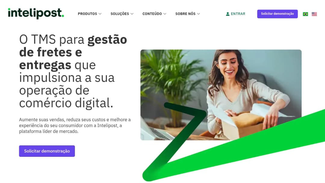 Intelipost Consultoria e Tecnologia de Logística screenshot