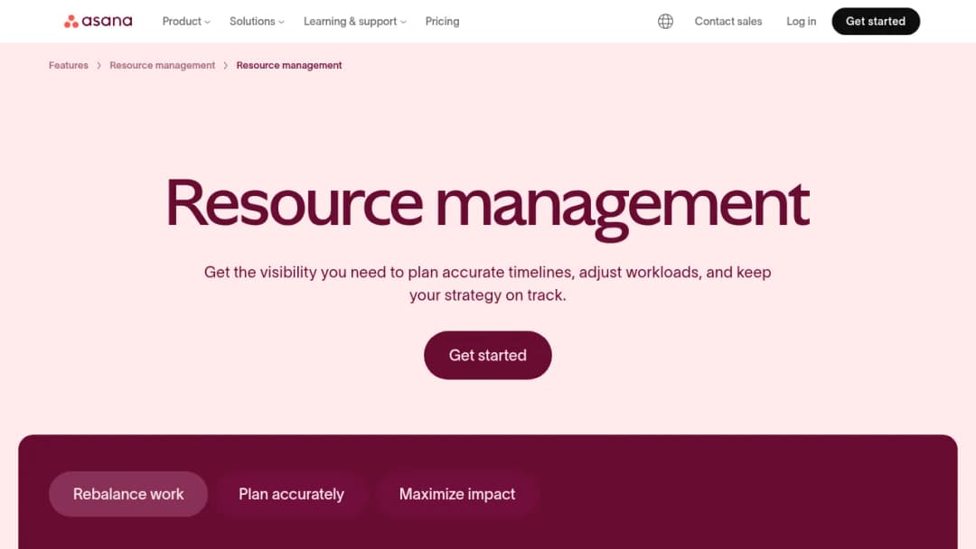 Asana Resource management screenshot