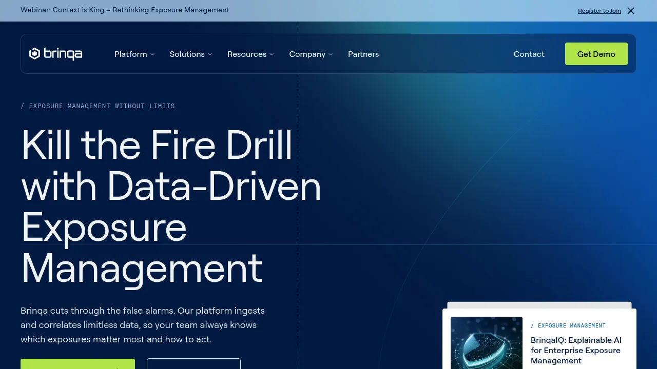 Brinqa screenshot