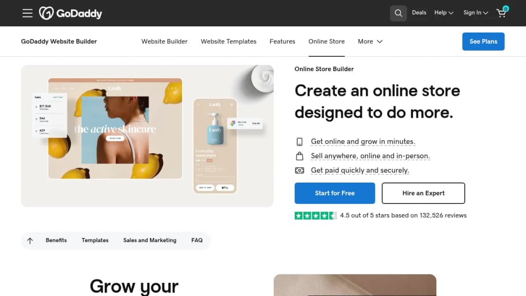 GoDaddy Online Store screenshot