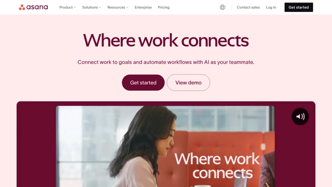 Asana screenshot